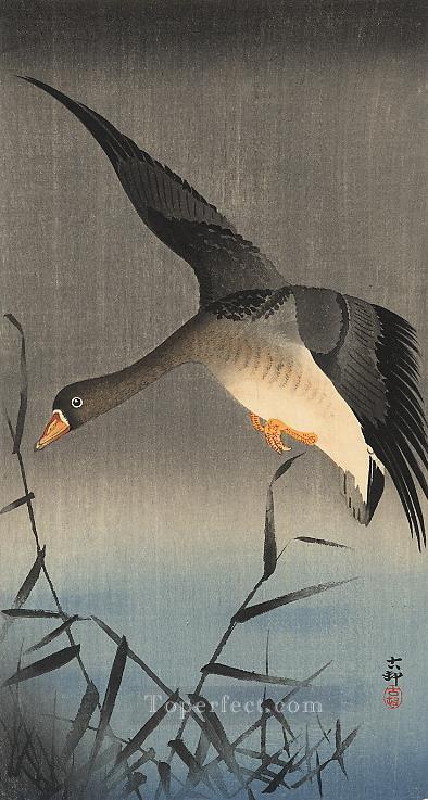 white fronted goose descending over reeds Ohara Koson Shin hanga Oil Paintings